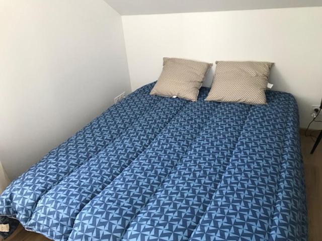 Logement T2-Rue-Maisonnette Sncf-アンボワーズ エクステリア 写真